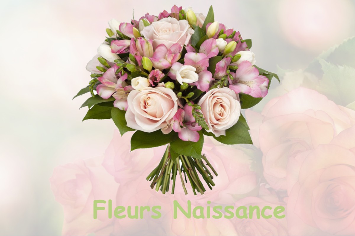 fleurs naissance LABENNE